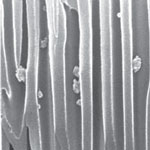 nanoporous_membrane