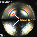 silk/polymer_fiber
