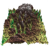 3d_surface_potential_image
