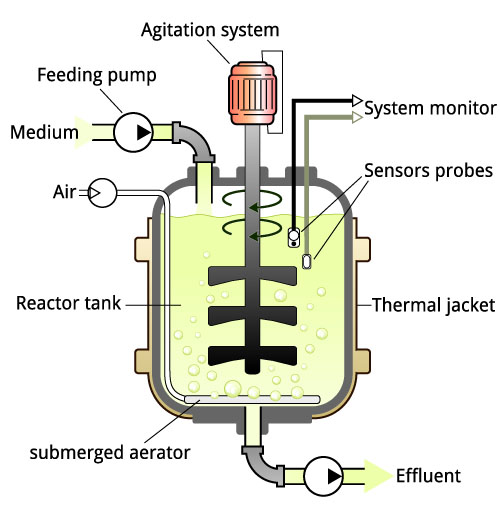 Schematic representation of a bioreactor