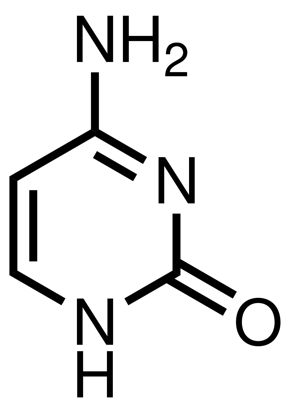 This image depicts the chemical structure of cytosine