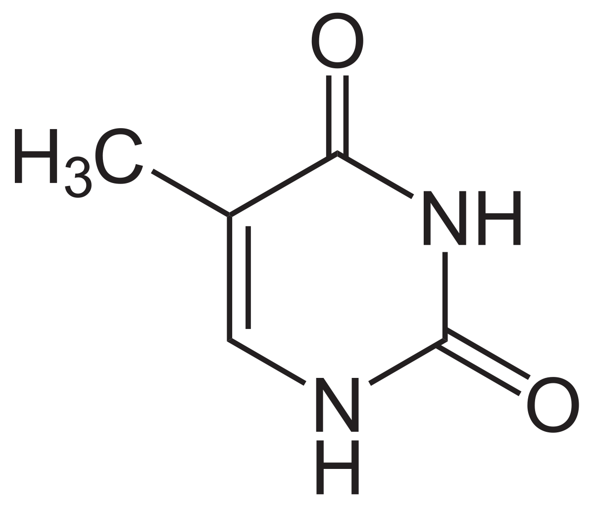 Thymine chemical structure