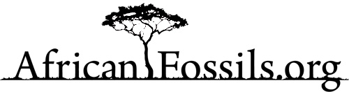 African Fossils