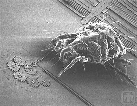 A mite, less than 1 mm in size, approaching a microscale gear chain