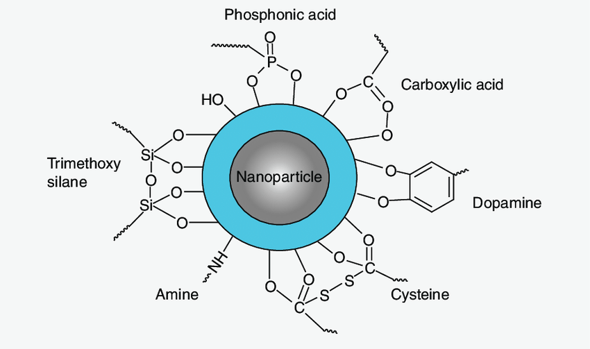 Schematic representation of surface functionalization on a nanoparticle