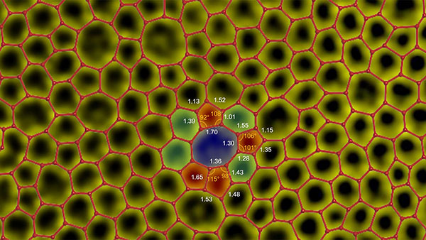 visualization of monolayer amorphous carbon's structure, displaying a network of irregularly arranged carbon atoms (shown by the red lattice lines) with varying bond lengths (indicated by numerical values) and bond angles (shown in degrees)