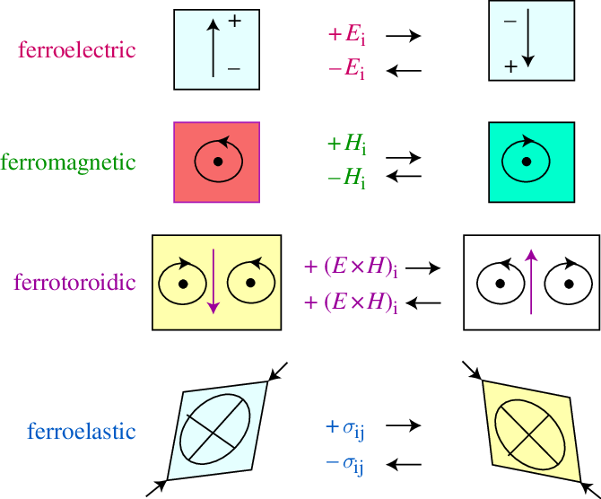 A color-coded diagram showing four ferroic orders: ferroelectric with upward electric polarization, ferromagnetic with a central spin, ferrotoroidic with opposing loops, and ferroelastic with diagonal strain. Each order is depicted with its positive and negative conjugate field responses, demonstrating their unique material properties.