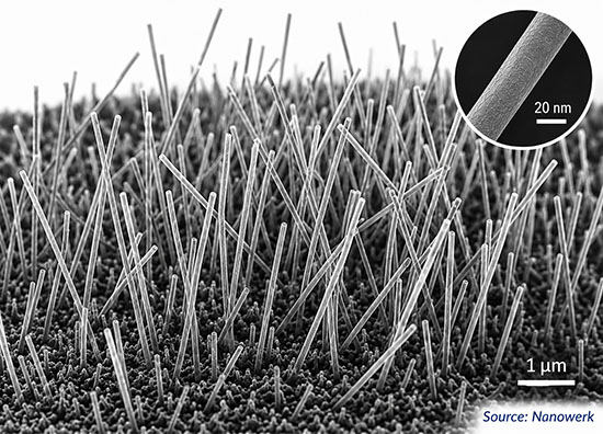 Illustration of an array of vertically aligned semiconductor nanowires on a substrate, with a magnified single nanowire showing a metallic catalyst droplet at the tip and a crystalline body extending downward.