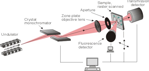 Schematic representation of a scanning transmission X-ray microscope (STXM)