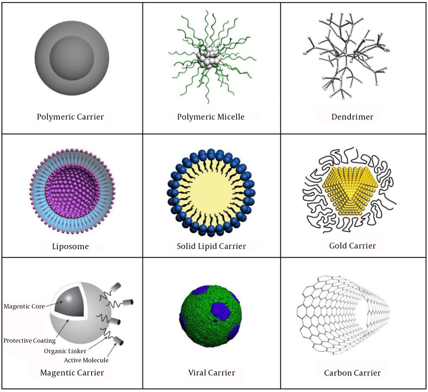 Different types of nanocarriers have been developed for targeted drug delivery