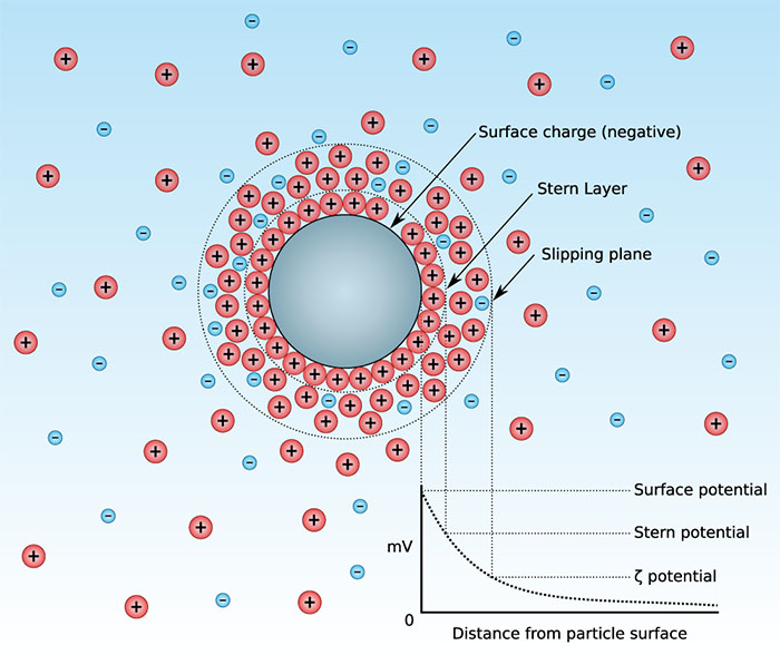 Diagram showing the ionic concentration and potential difference as a function of distance from the charged surface of a particle suspended in a dispersion medium.