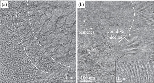 Cryogenic electro-microscopy photos