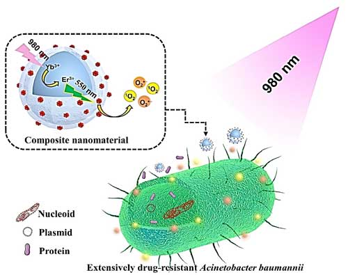 Schematic diagram of efficient near-infrared-triggered photodynamic killing of extensively drug-resistant Acinetobacter baumannii