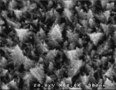 Christmas-tree-shaped palladium nanostructures