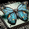 Butterfly mating behaviors inspire next level brain-like computing