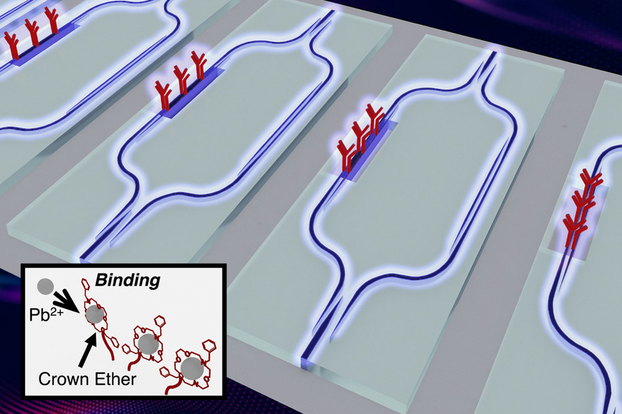 Artist’s impression of the chip surface, showing the on-chip light interferometer used to sense the presence of lead. The lead binding process to the crown ether is shown in the inset.