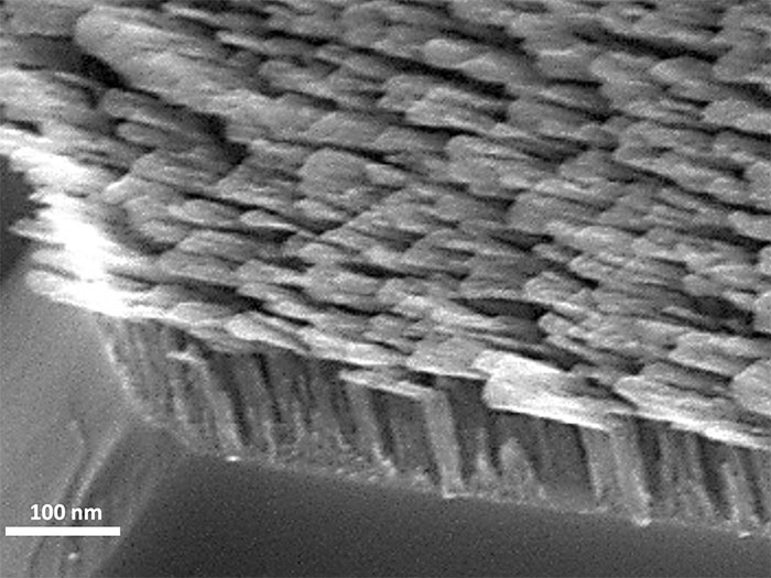 a forest of antenna-like nanorods