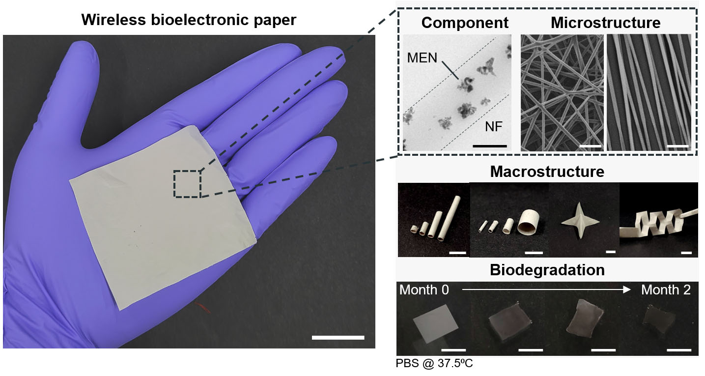 wireless bioelectronic paper