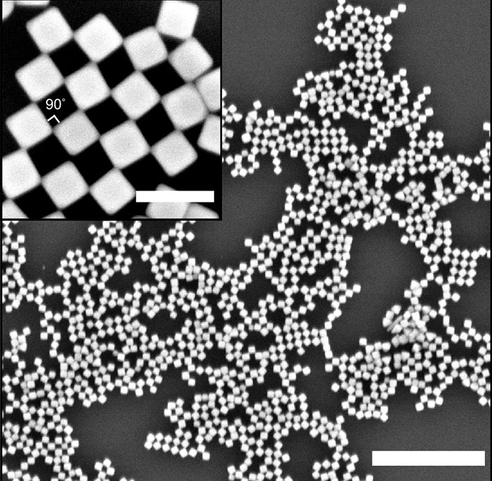 SEM image of a checkerboard pattern created by self-assembly of the nanocubes