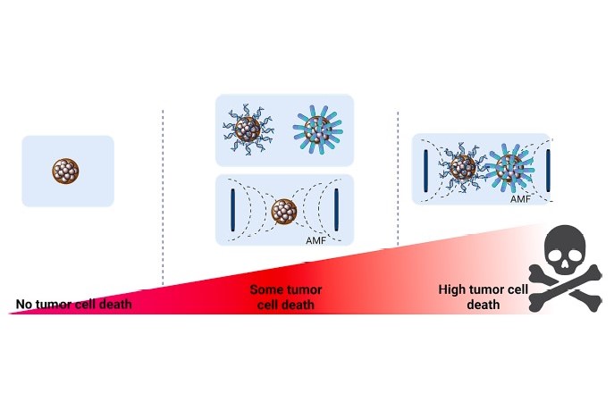 The combination of magnetic field nanoparticles and chemotherapy drugs achieves greater efficacy against cancer cells
