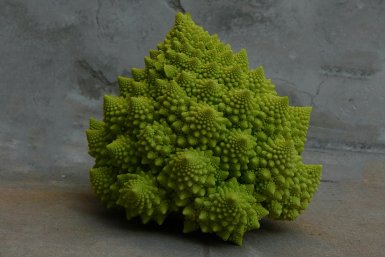 A romanesco broccoli