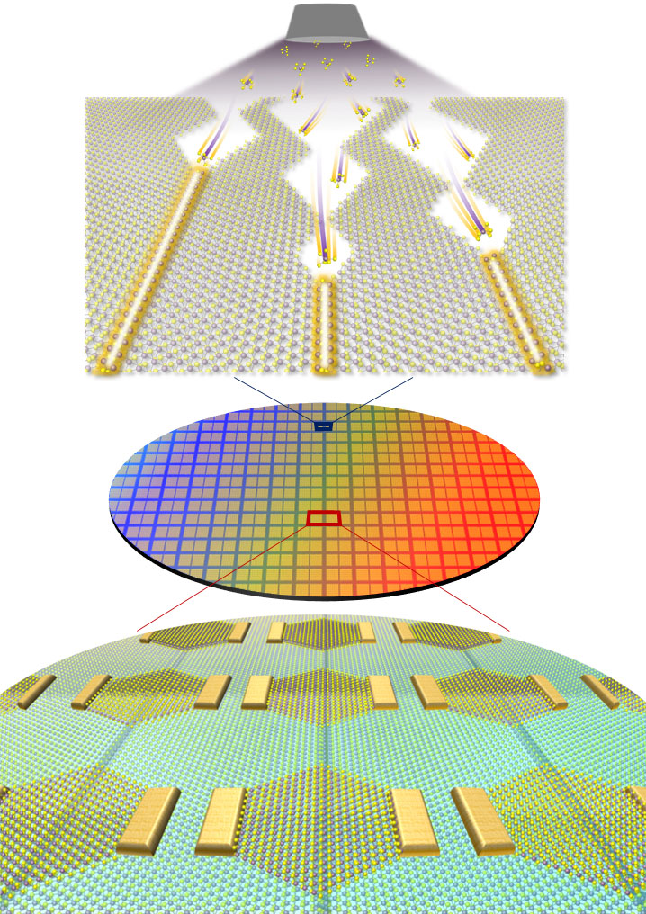 Growth of 1D mirror twin boundary metal and 2D integrated circuit based on the process