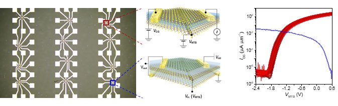 Ultra-miniaturized transistors and integrated circuits using 1D mirror twin boundary gates