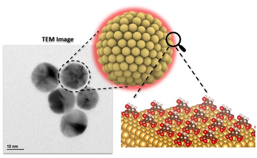 Understanding how nanoparticles interact with organic molecules