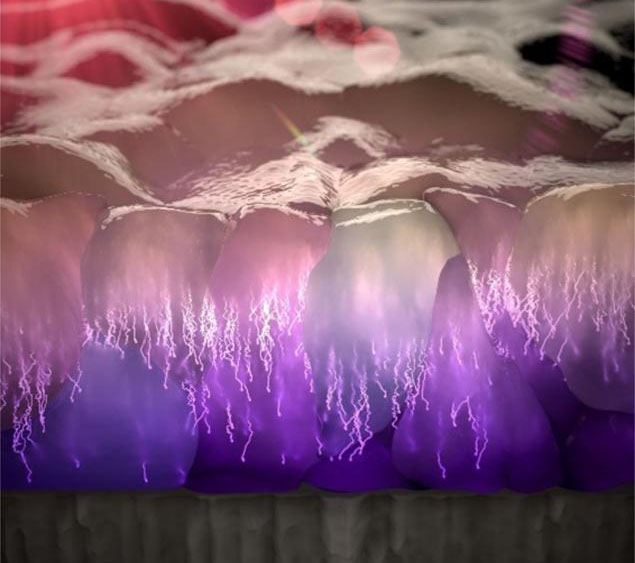 Artistic image showing the vertical motion of photocarriers (jiggling trajectories) through the nanocrystallites of a metal halide perovskite film