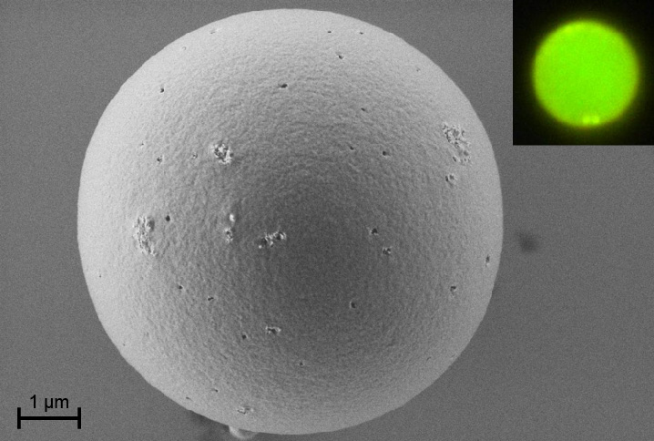 Microsphere of high quality factor made of a polymer blend, emitting fluorescence (upper right)