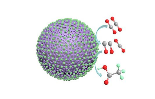 Polyaniline catalyst coated in cobalt oxide nanoparticles