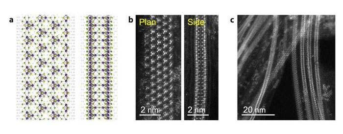 nanoribbons in carbon nanotubes