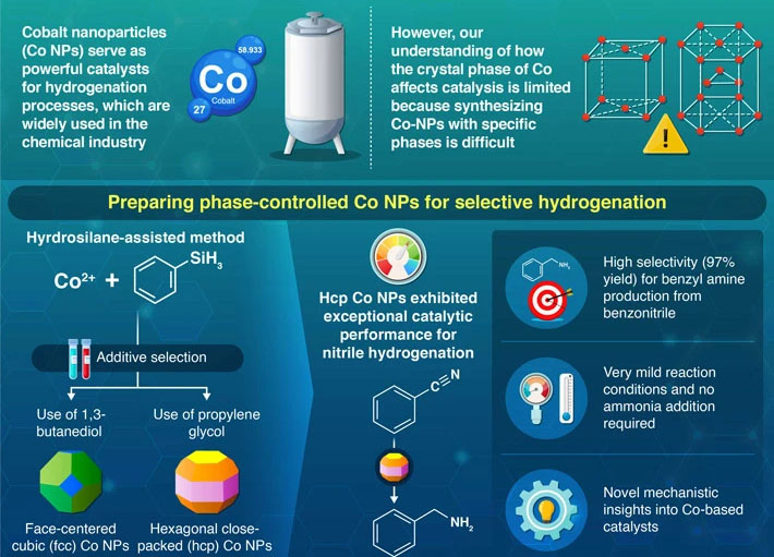 Towards Reusable and Highly Selective Cobalt Catalysts