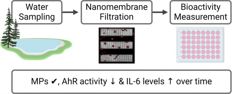 Analyzing Microplastic Bioactivity with nanomembranes