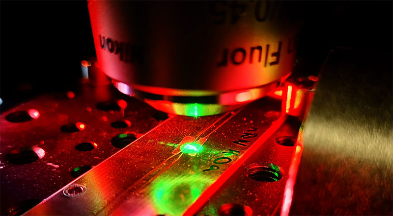 Experimental set-up of hBN quantum sennsor