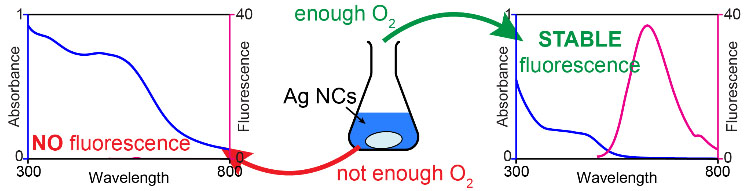 Stirring-Controlled Synthesis of Ultrastable, Fluorescent Silver Nanoclusters