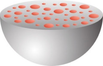 A halved gray sphere, representing a nanoparticle, is shown with a series of orange circles that represent allergens dotting the inside