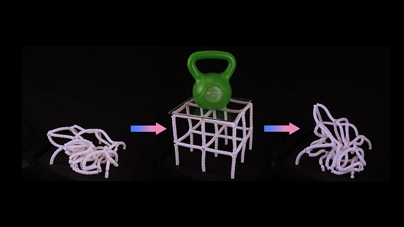 The undeployed metamaterial (left) gains strength and form when deployed (center), with the ability to return to its limp state (right)