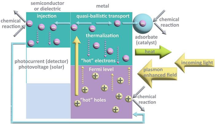 Unveiling the ability of scorching carriers in plasmonic nanostructures