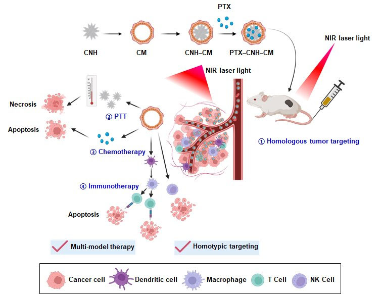 Biomimetic carbon nanohorn complexes for treatment of cancer