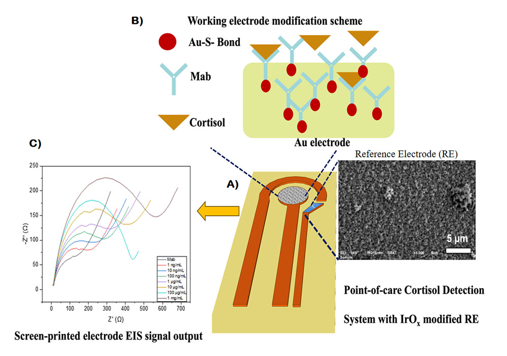 detector that can accurately measure levels of cortisol 