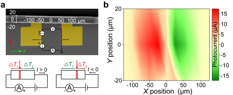 Enhanced photothermoelectric conversion in self-rolled tellurium photodetector