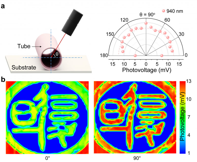 wide-angle detection and angle-resolved photovoltage supported by rolled-up detector