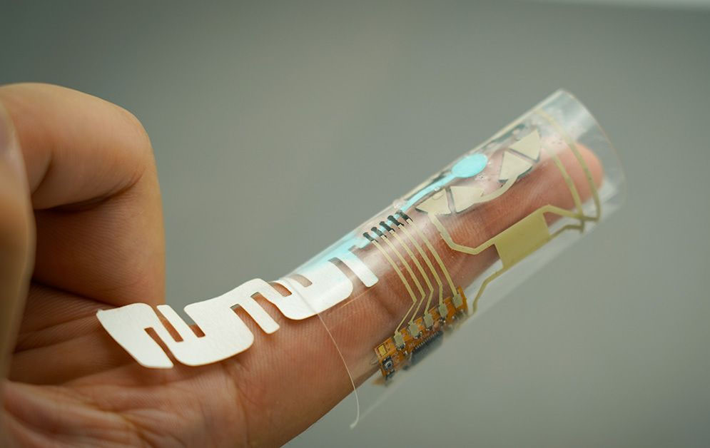 Finger wrap makes use of sweat to offer well being monitoring at your fingertips