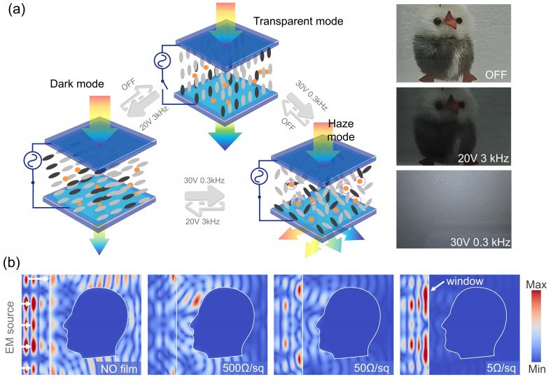 the combination of dynamic scattering and liquid crystal doping allows precise control over light transmittance and scattering, enhancing energy efficiency and privacy