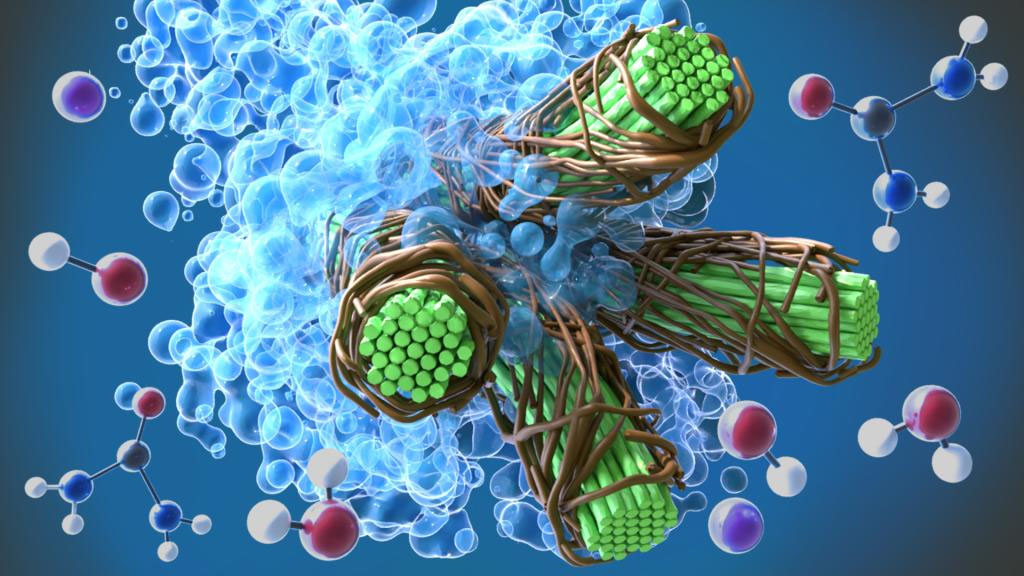 simulation of nanocellulosic fibers