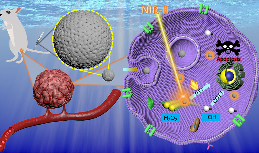 Illustration of the Tumor-Suppressing Mechanism of FDCN Nanozyme Synergy