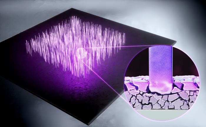 metal nanowires