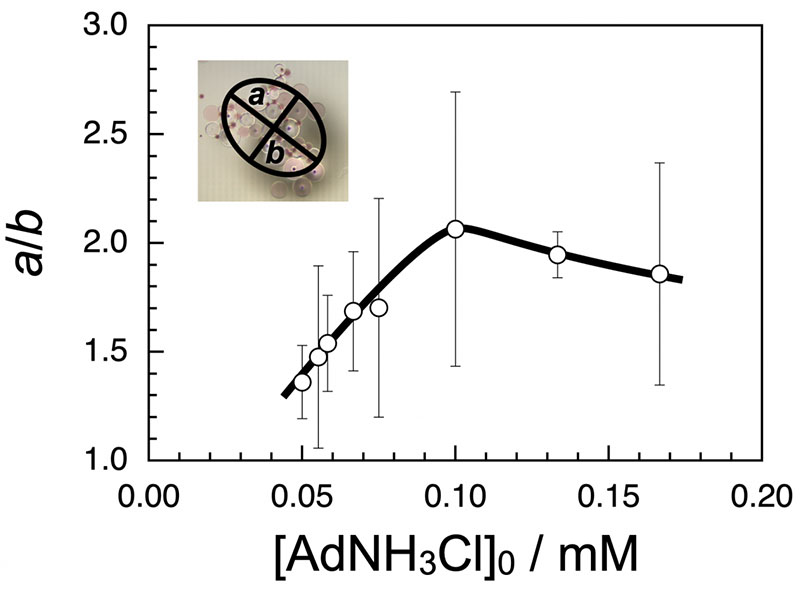 The aspect ratio (a/b) for the assemblies formed from βCD(26.7)-SAP and unmodified SAP microparticles in the presence of varying concentrations of AdNH3Cl ([AdNH3Cl]0)