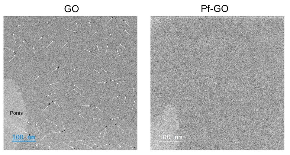 Comparison of Scanning Transmission Electron microscope Images of GO and pore-free GO (Pf-GO)